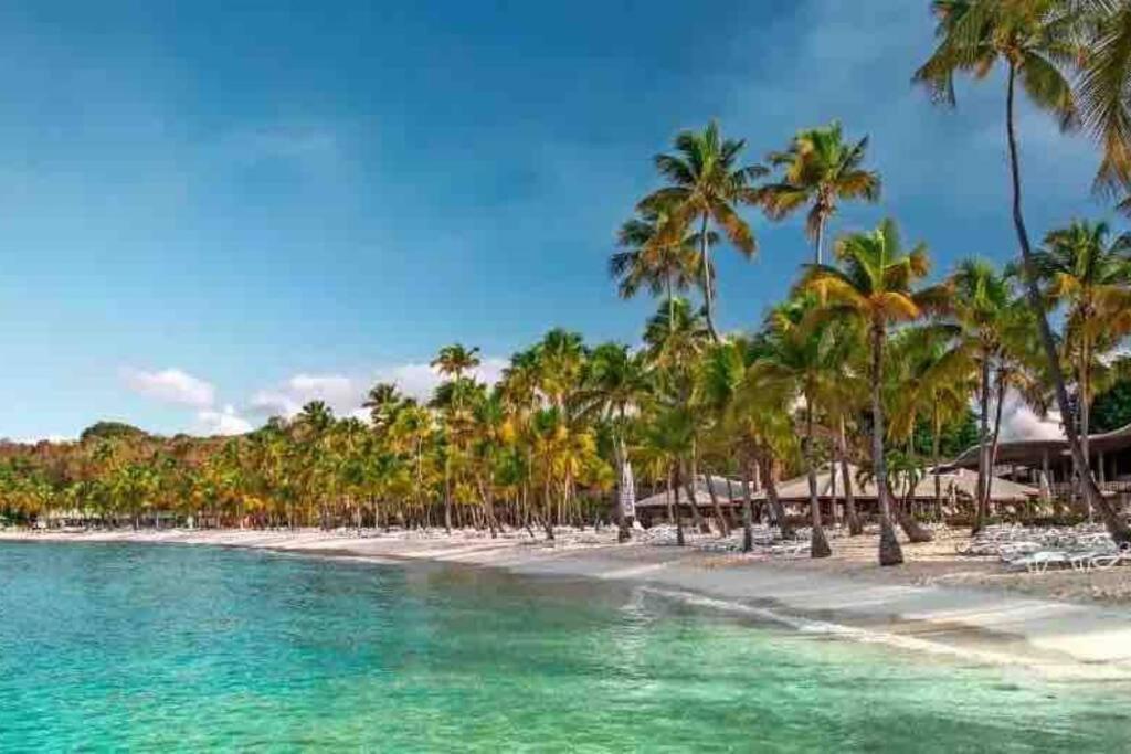 Le Sable Bleu - Evasion Tropicale A Sainte-Anne - Plage 5Min - Piscine - Parking - Logement Climatise - Vue Sur Les Palmiers - Parfait Pour Sejours En Famille Ou Entre Amis Exterior photo