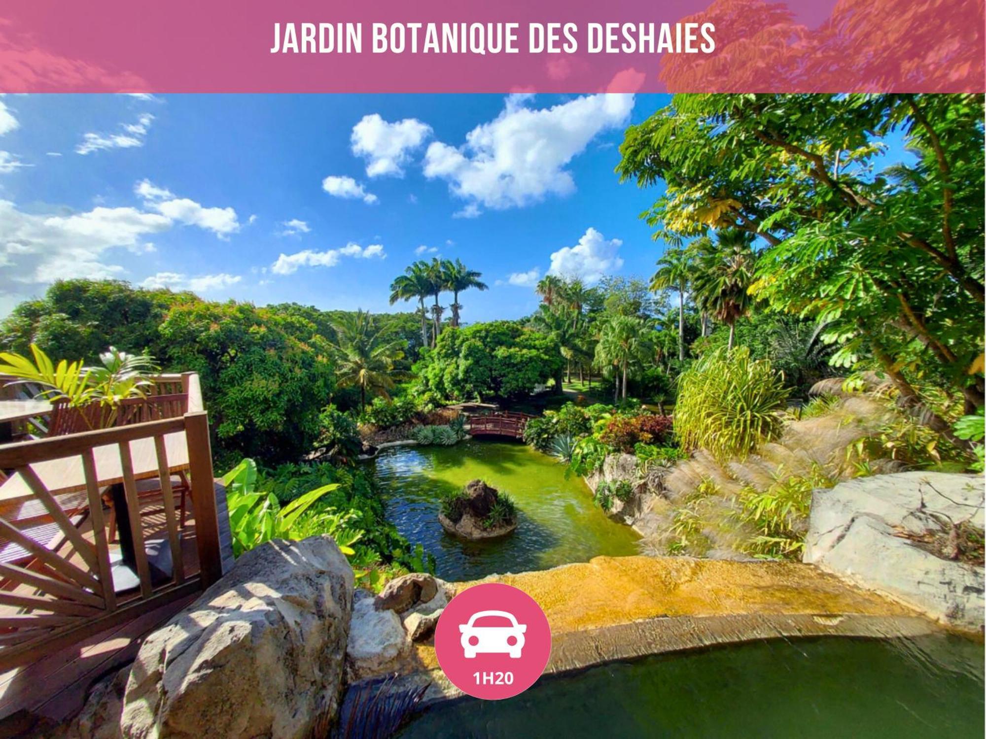 Le Sable Bleu - Evasion Tropicale A Sainte-Anne - Plage 5Min - Piscine - Parking - Logement Climatise - Vue Sur Les Palmiers - Parfait Pour Sejours En Famille Ou Entre Amis Exterior photo
