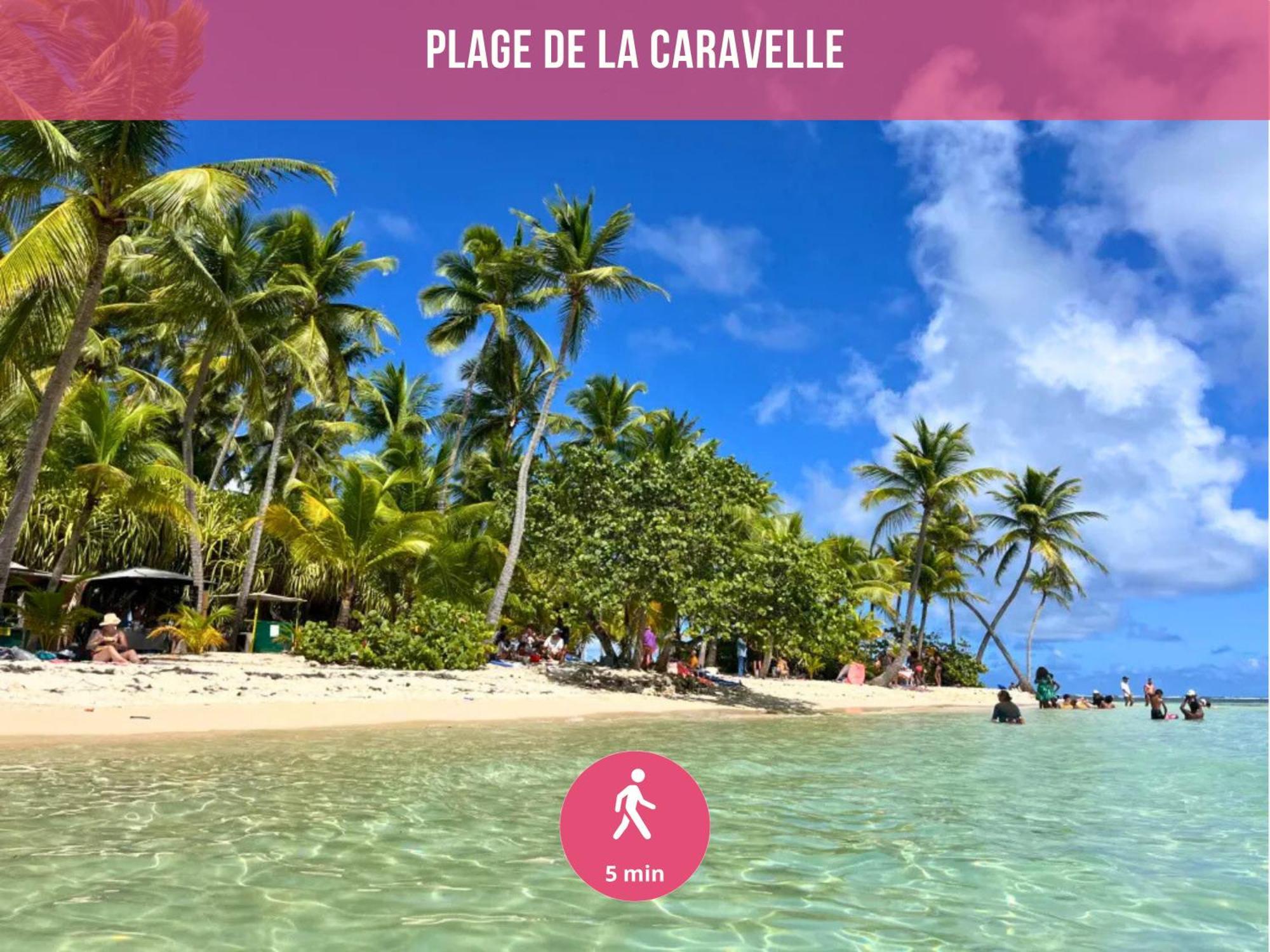Le Sable Bleu - Evasion Tropicale A Sainte-Anne - Plage 5Min - Piscine - Parking - Logement Climatise - Vue Sur Les Palmiers - Parfait Pour Sejours En Famille Ou Entre Amis Exterior photo